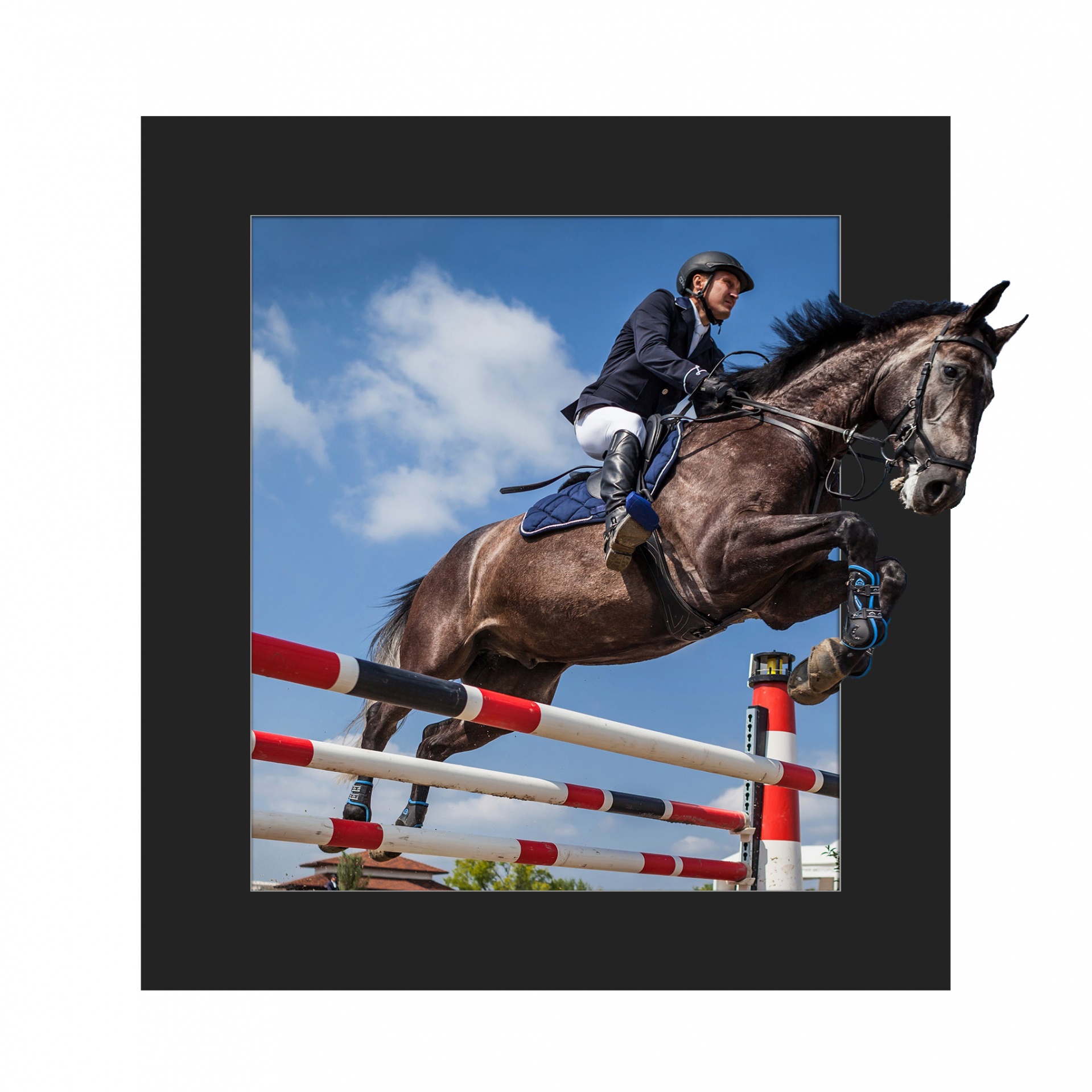 horse rider jump free photo