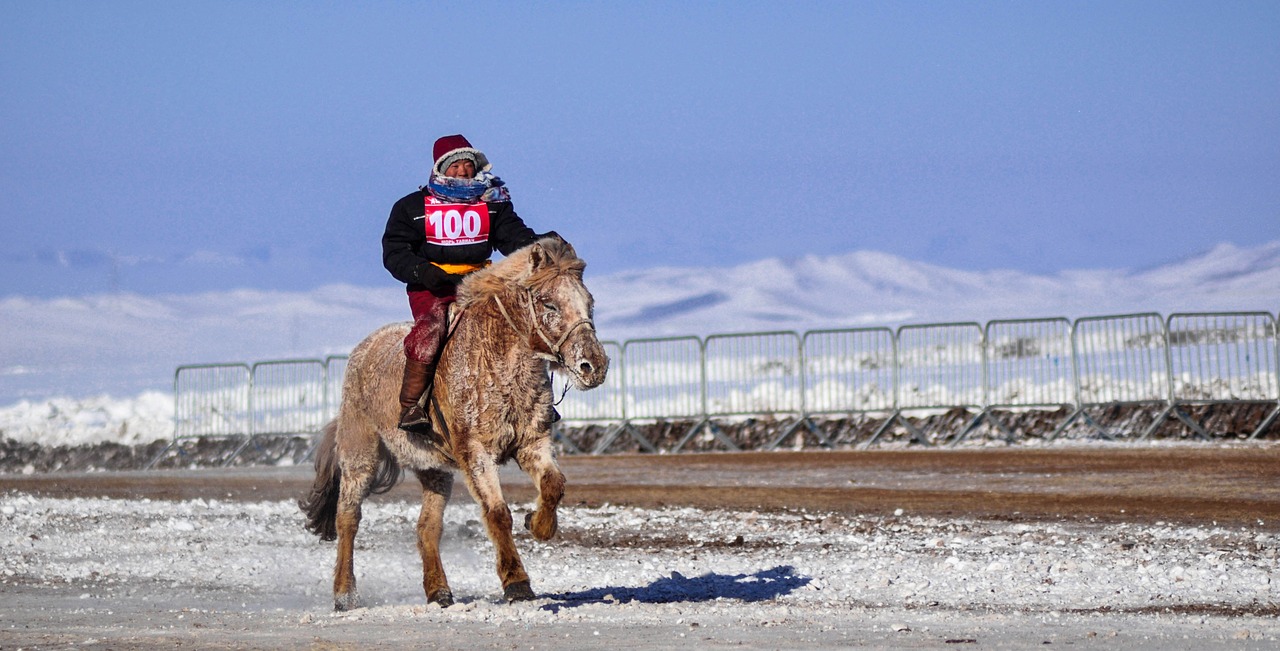 horse race finish line winter free photo