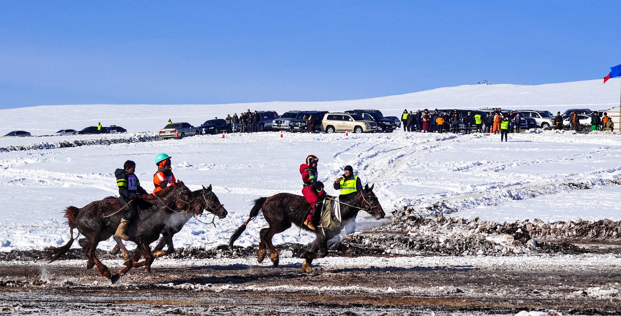 horse race finish line winter free photo