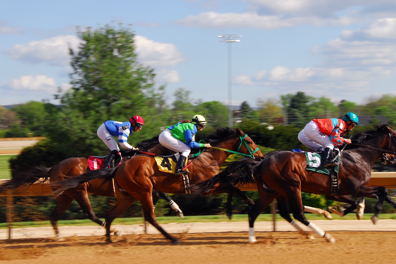 horse racing race racehorse free photo