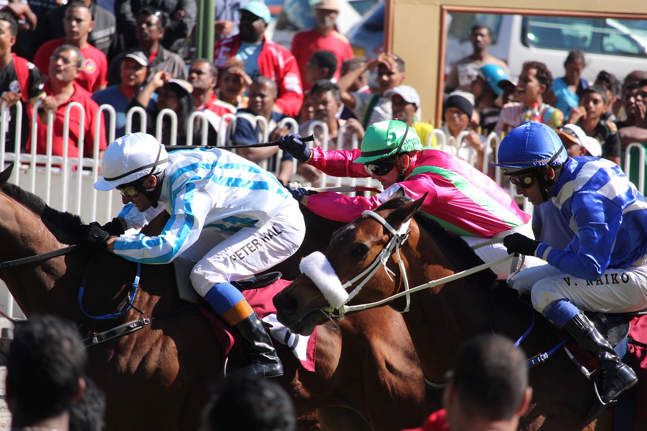 Download free photo of Horse racing,jockey,horse,mauritius,champ - from ...