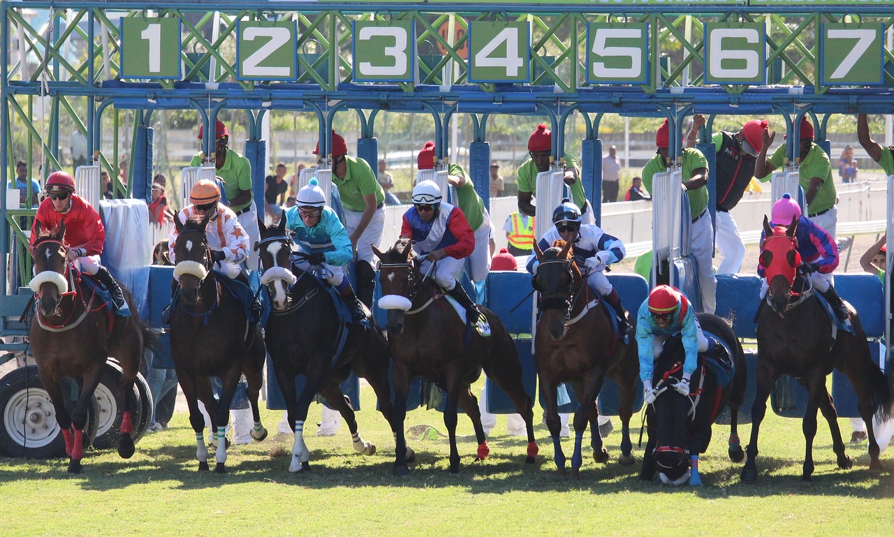 horse racing start fall free photo