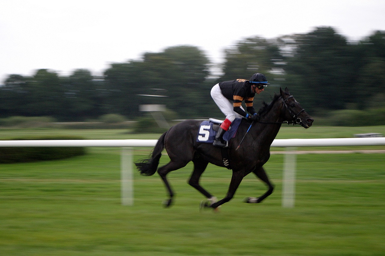 horse racing jockey iffezheim free photo