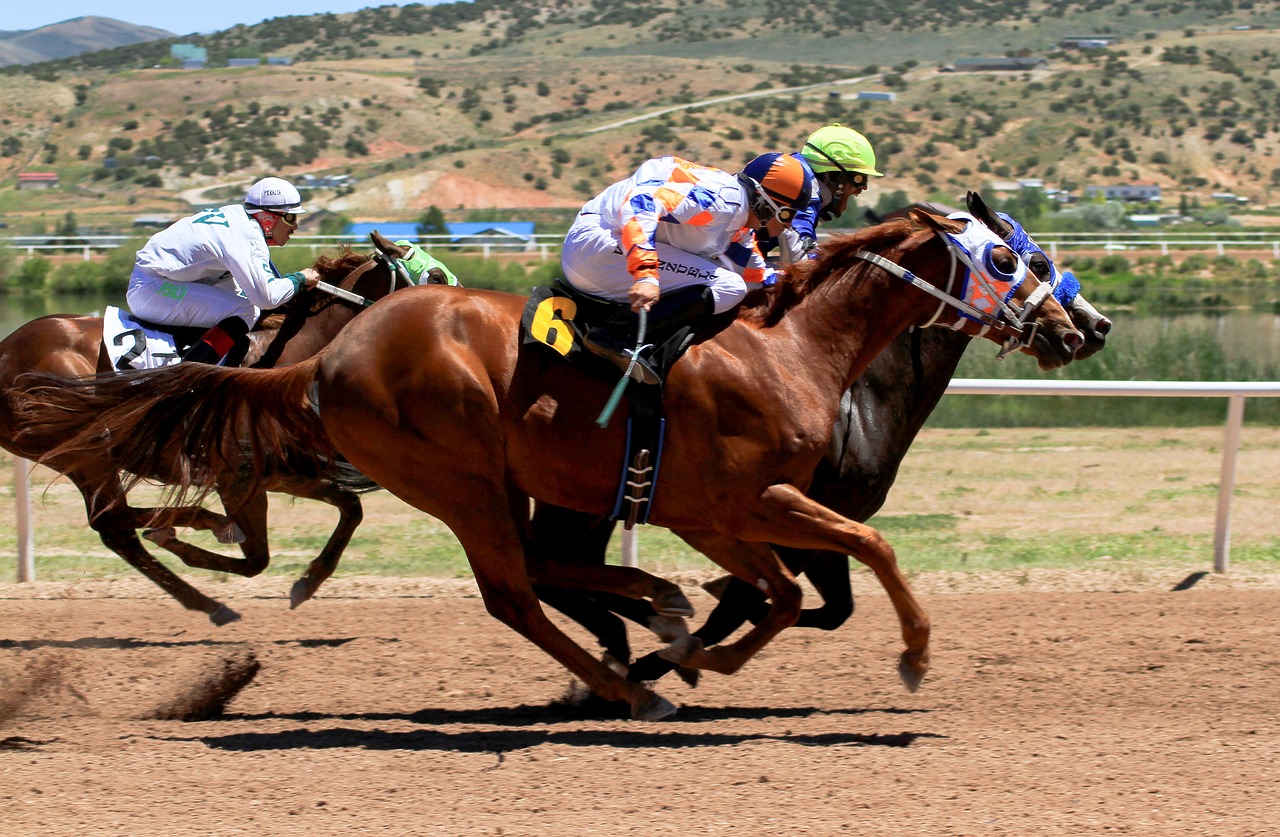 horse racing  track  jockey free photo