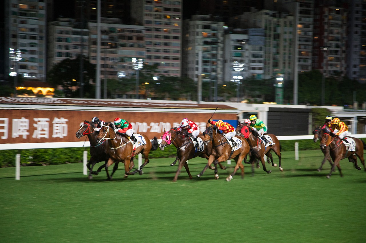 horse racing hong kong horse free photo