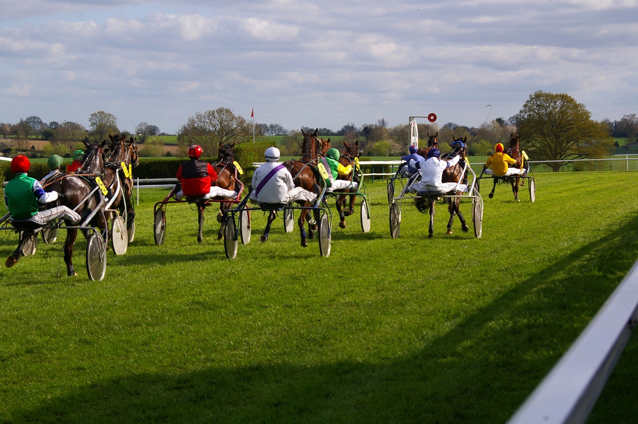 horse racing horses sports free photo