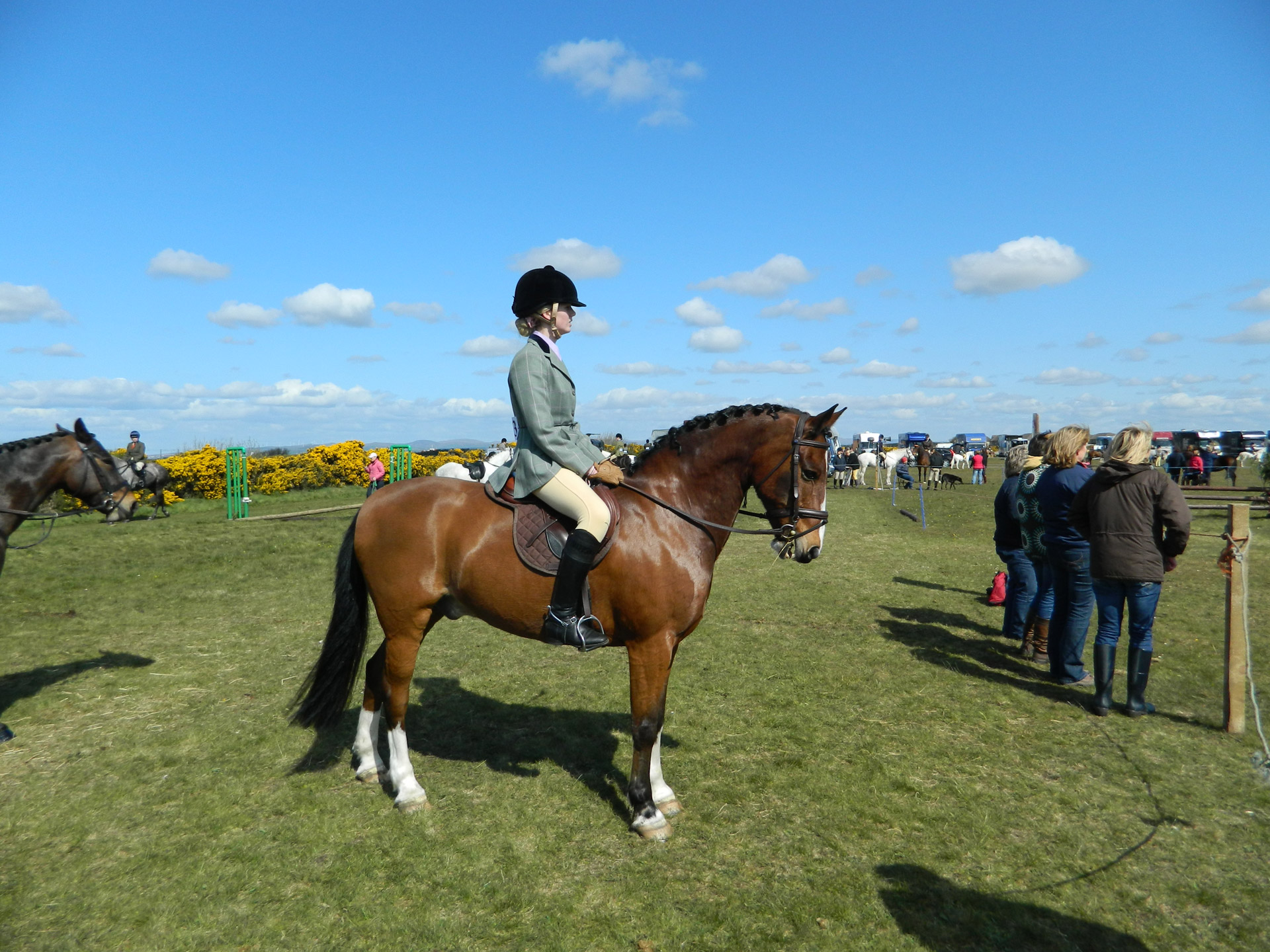 horse rider dundonald free photo