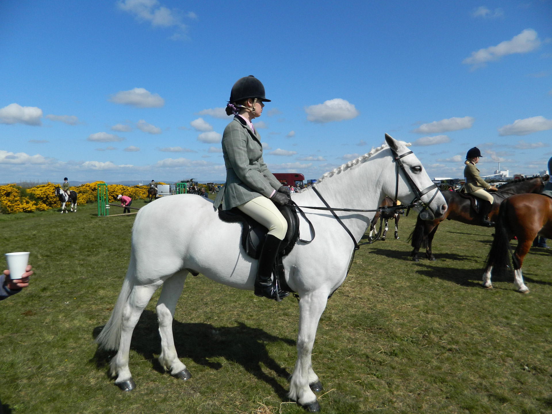 horse rider dundonald free photo