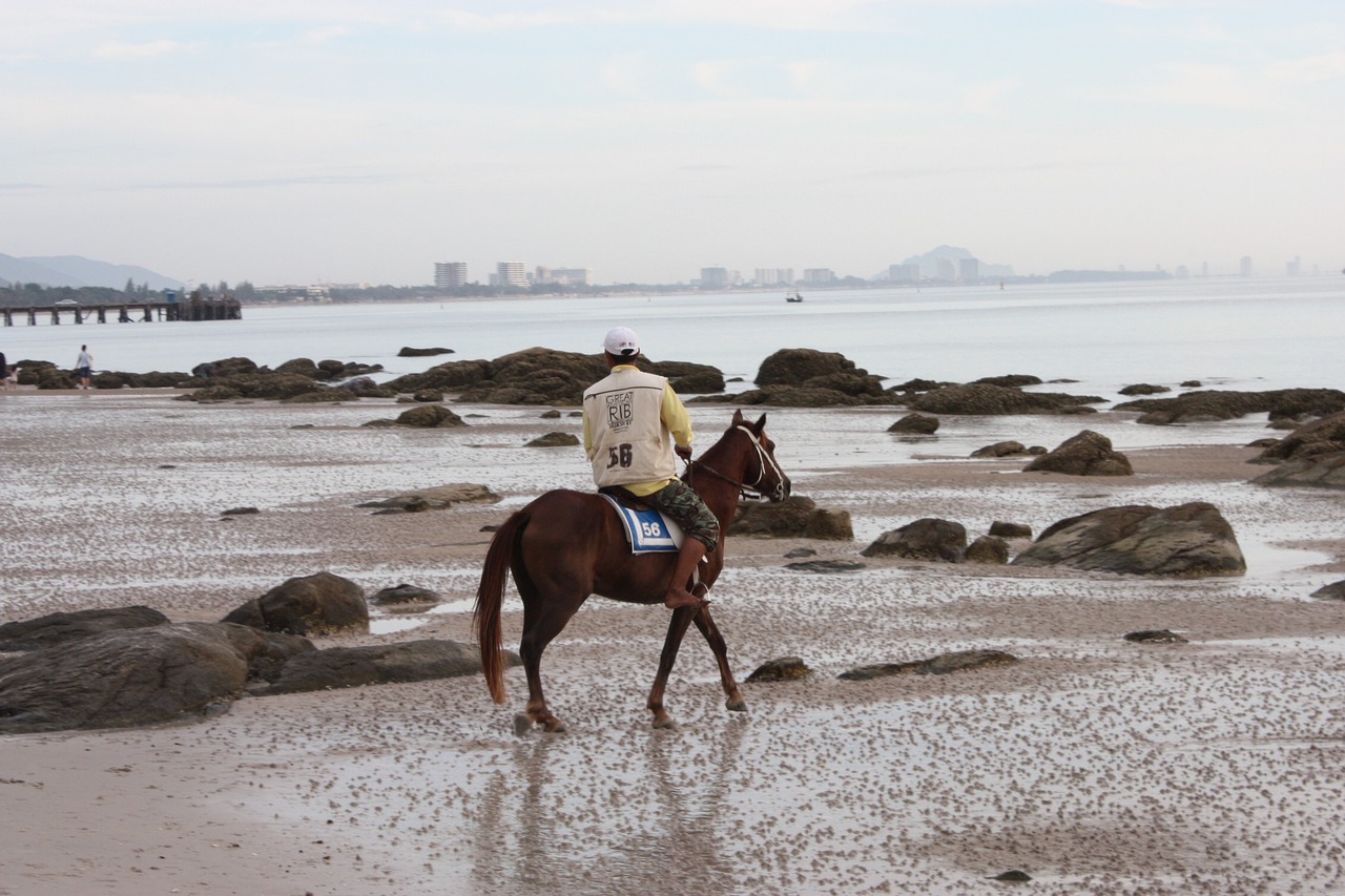 horse riding beach hua hin free photo