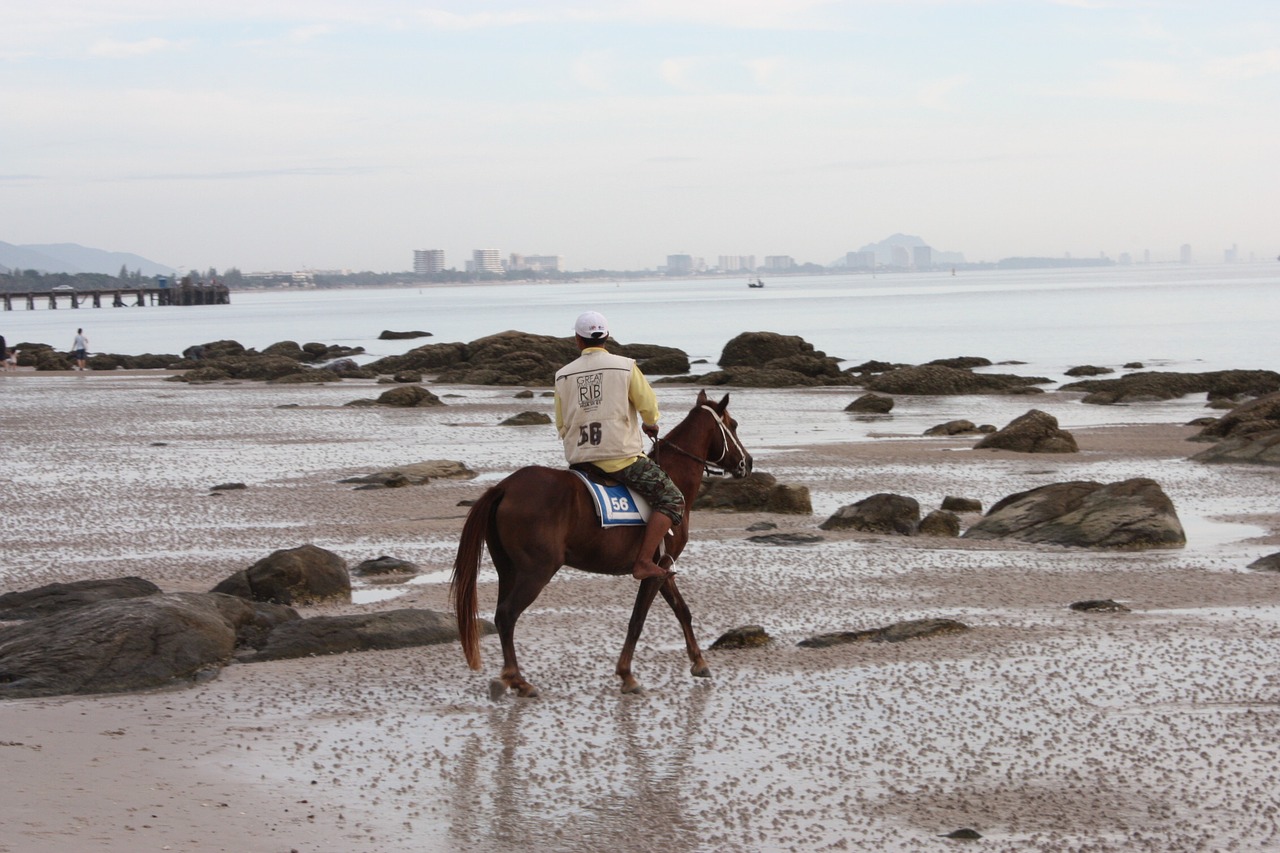 Horse Riding Beach Hua Hin Sea Sea View Free Image From Needpix Com