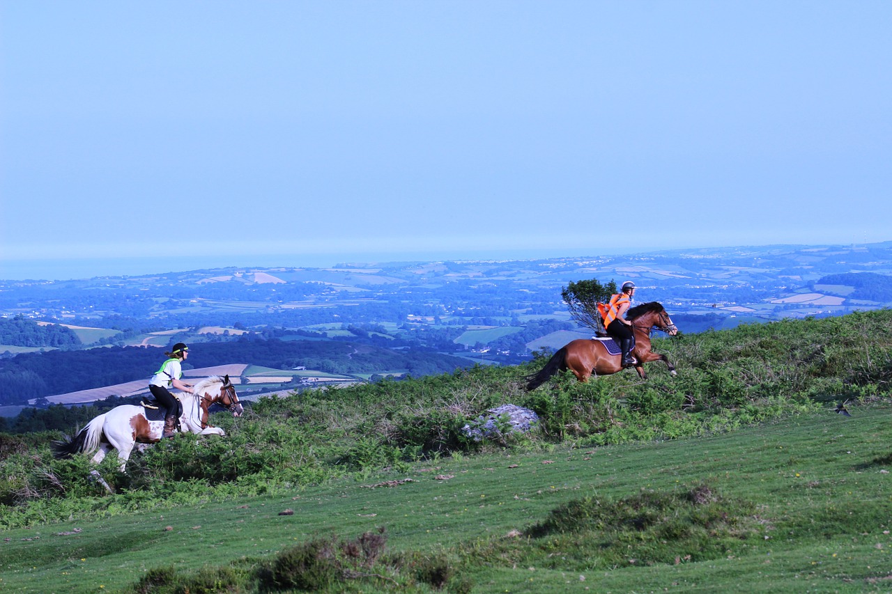 horse riding devon dartmoor free photo