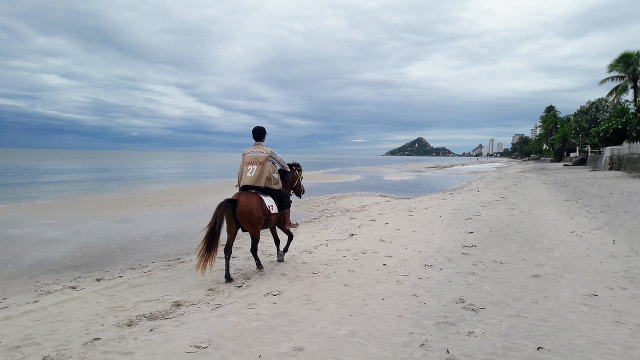 horse riding in hua hin  hua hin beach  sea free photo