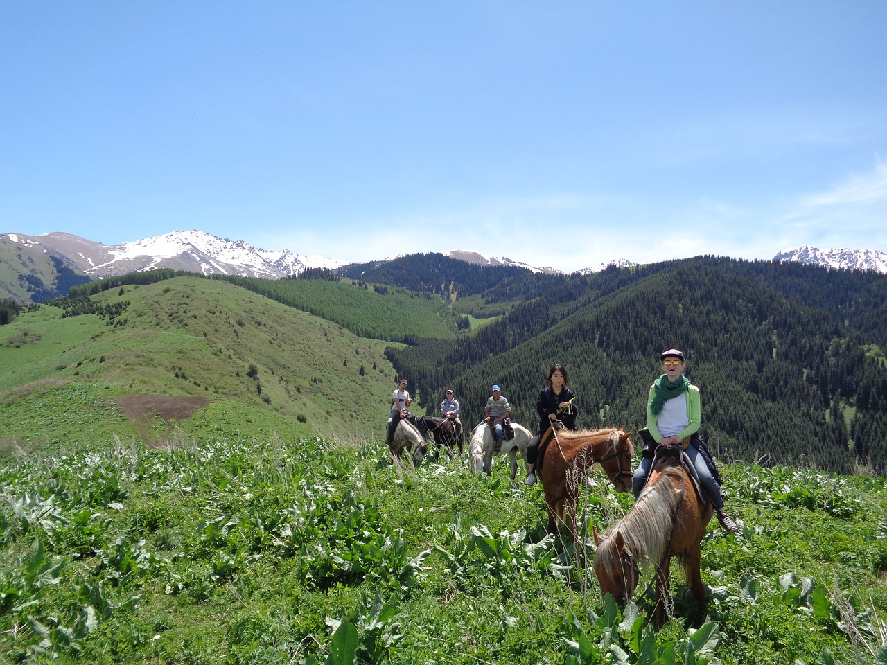 horse riding tour kyrgyzstan valley free photo