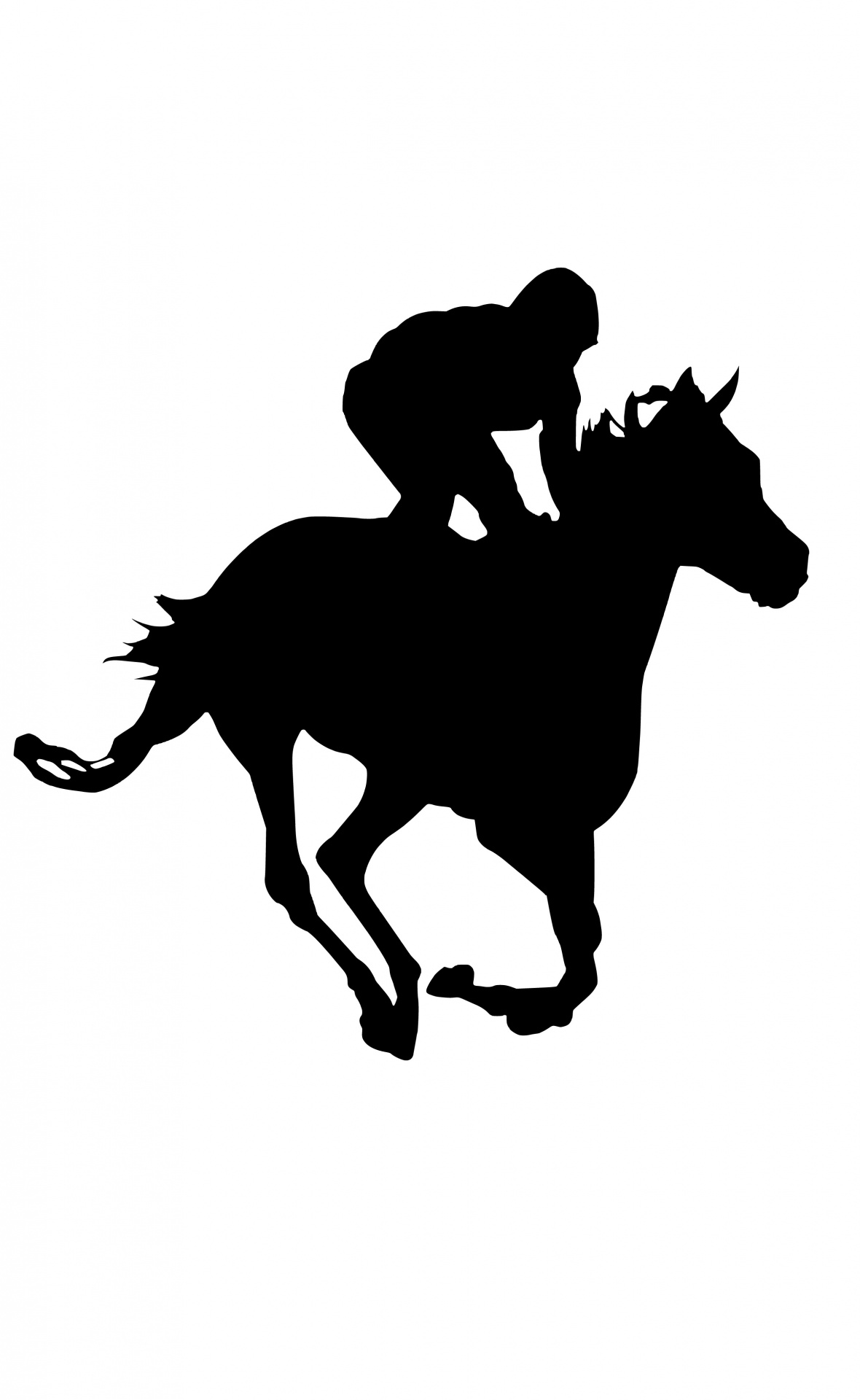 silhouette equestrian cavalry free photo
