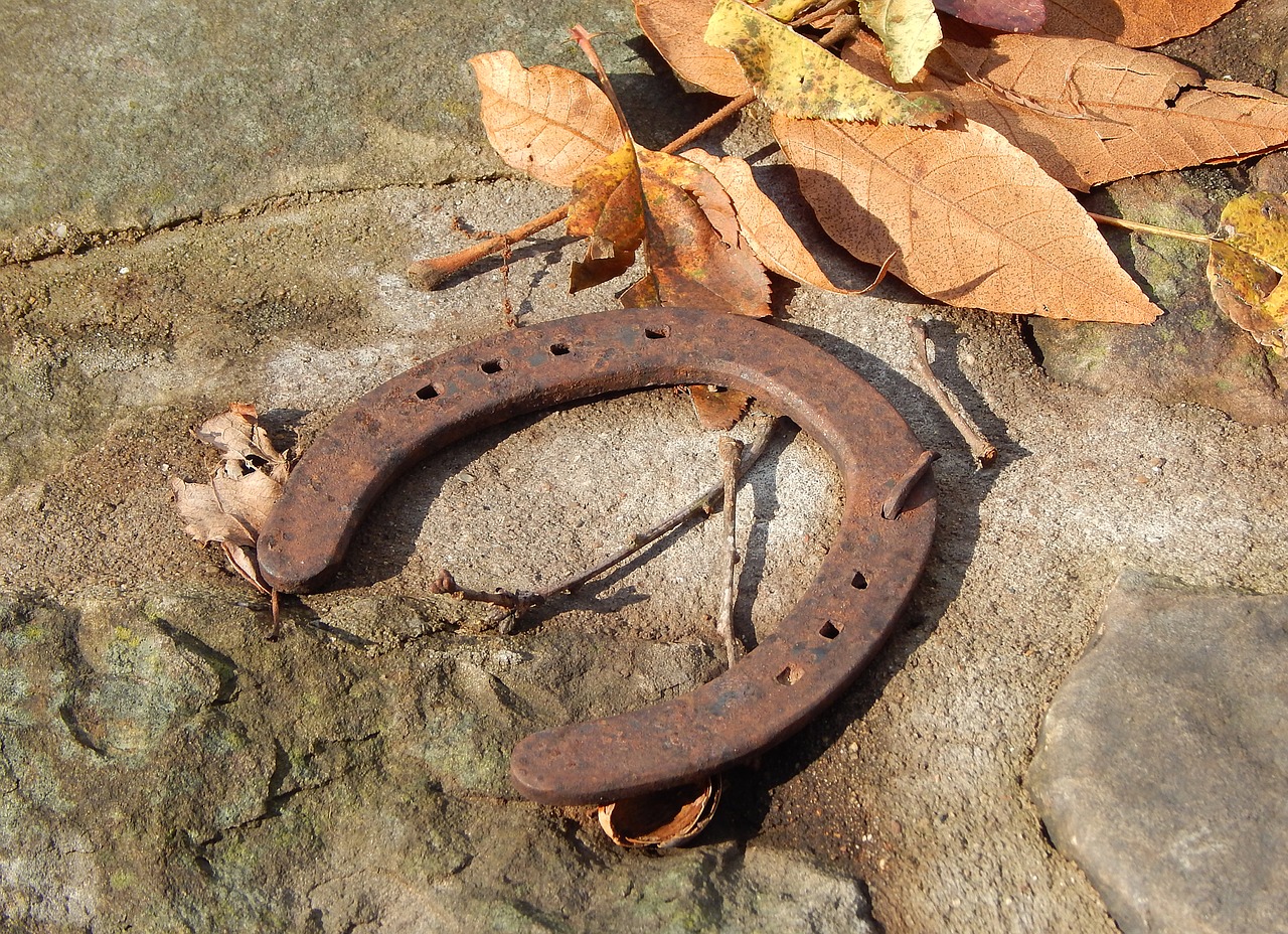 horse shoe stone leaves free photo