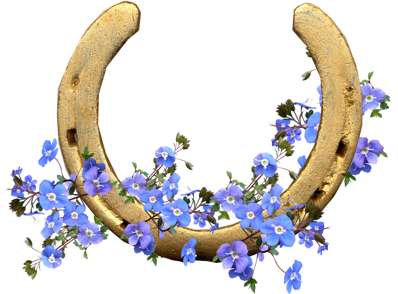 horse shoe blue flowers lucky free photo