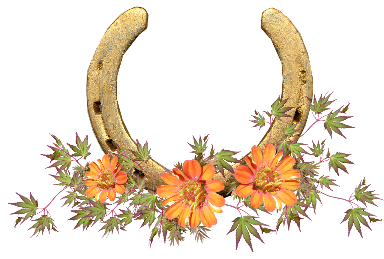 horse shoe flowers lucky free photo