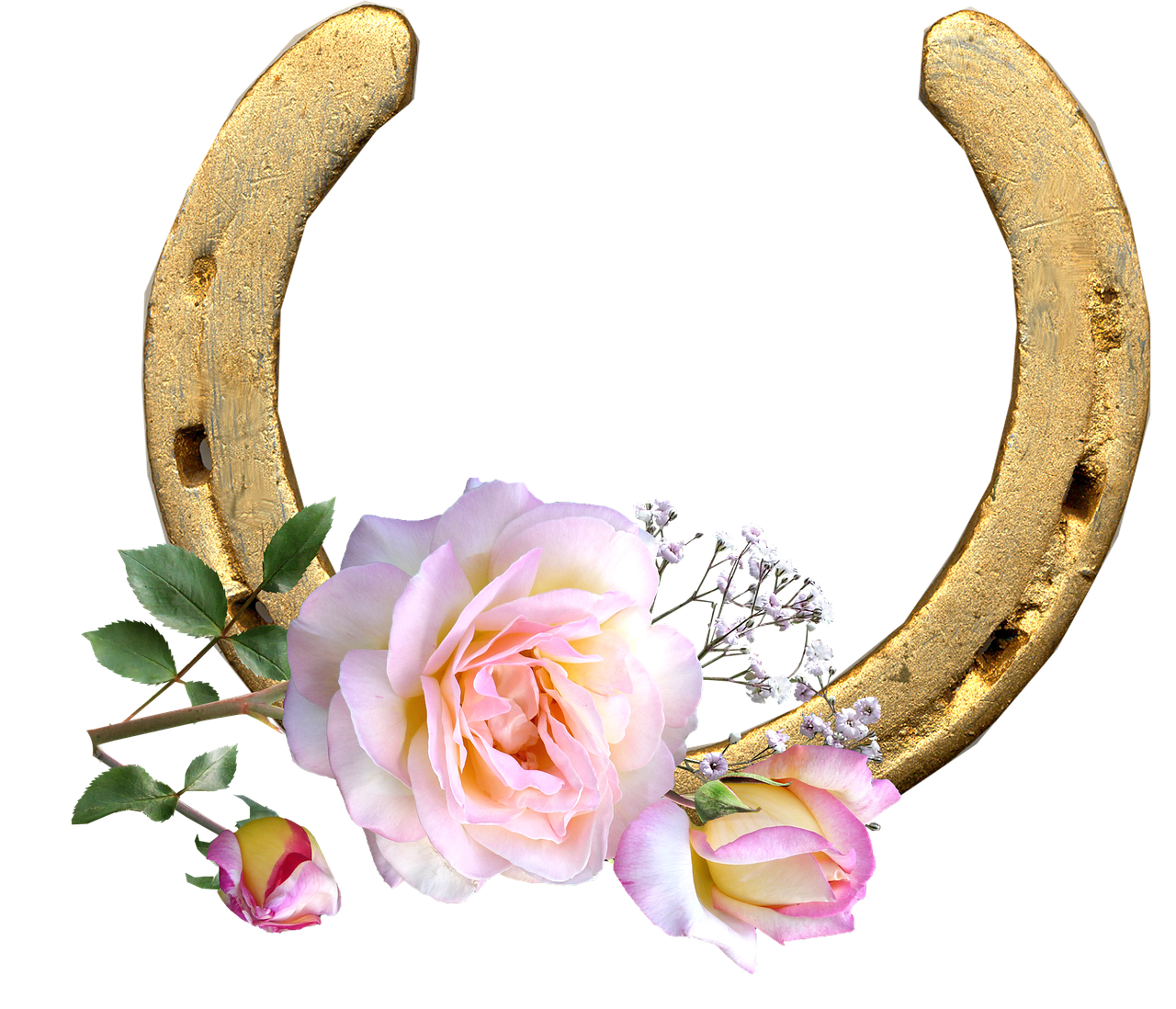 horse shoe peace rose lucky free photo