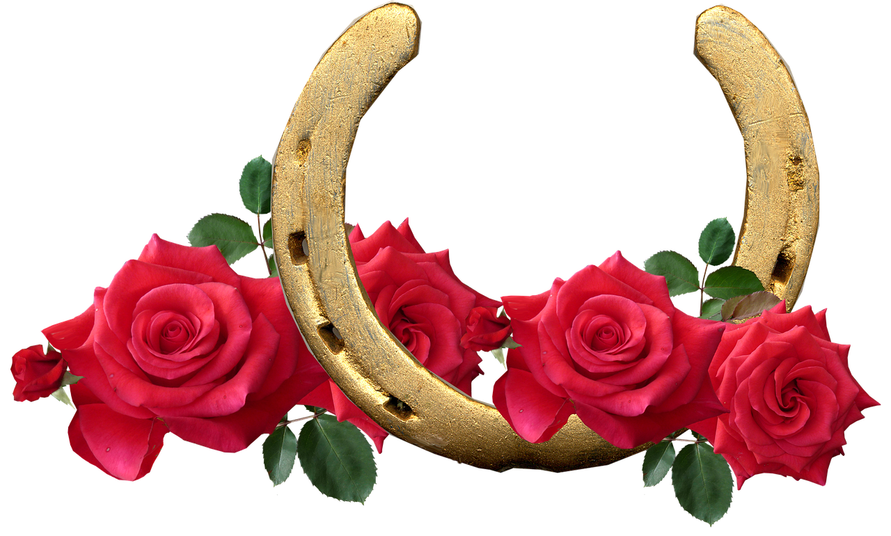 horse shoe red roses lucky free photo
