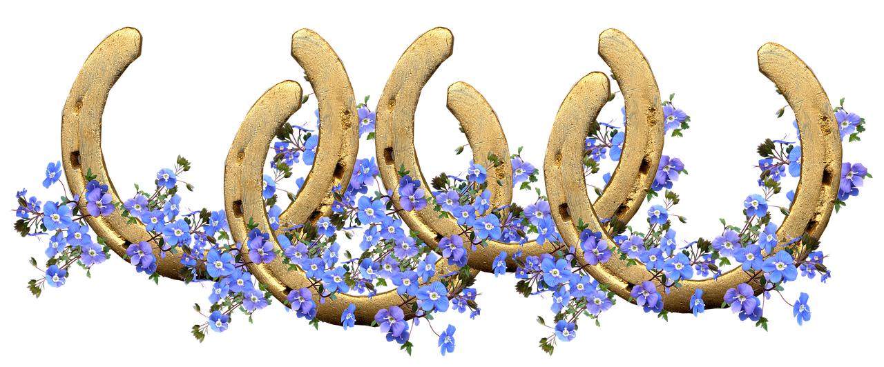 horse shoes  lucky  blue flowers free photo