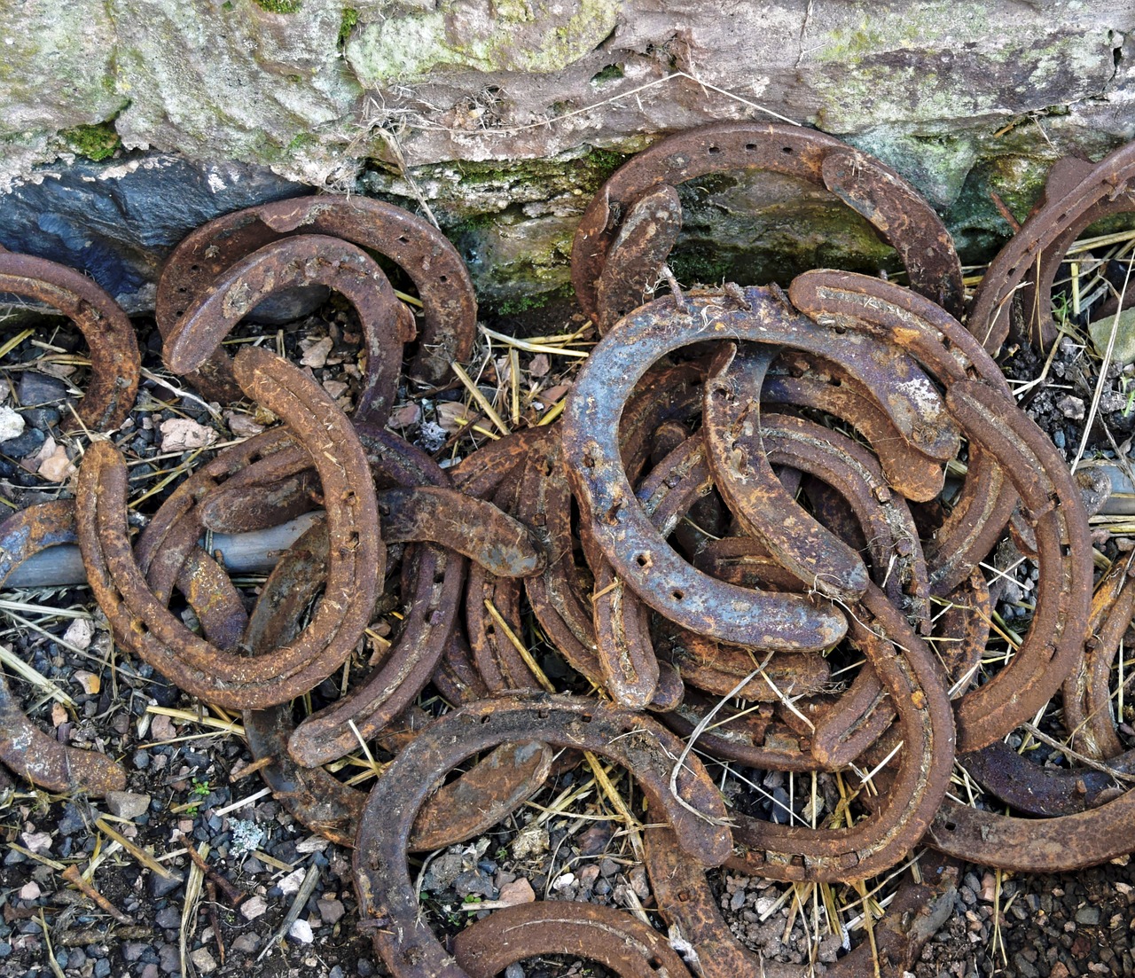horse shoes rusty horse free photo