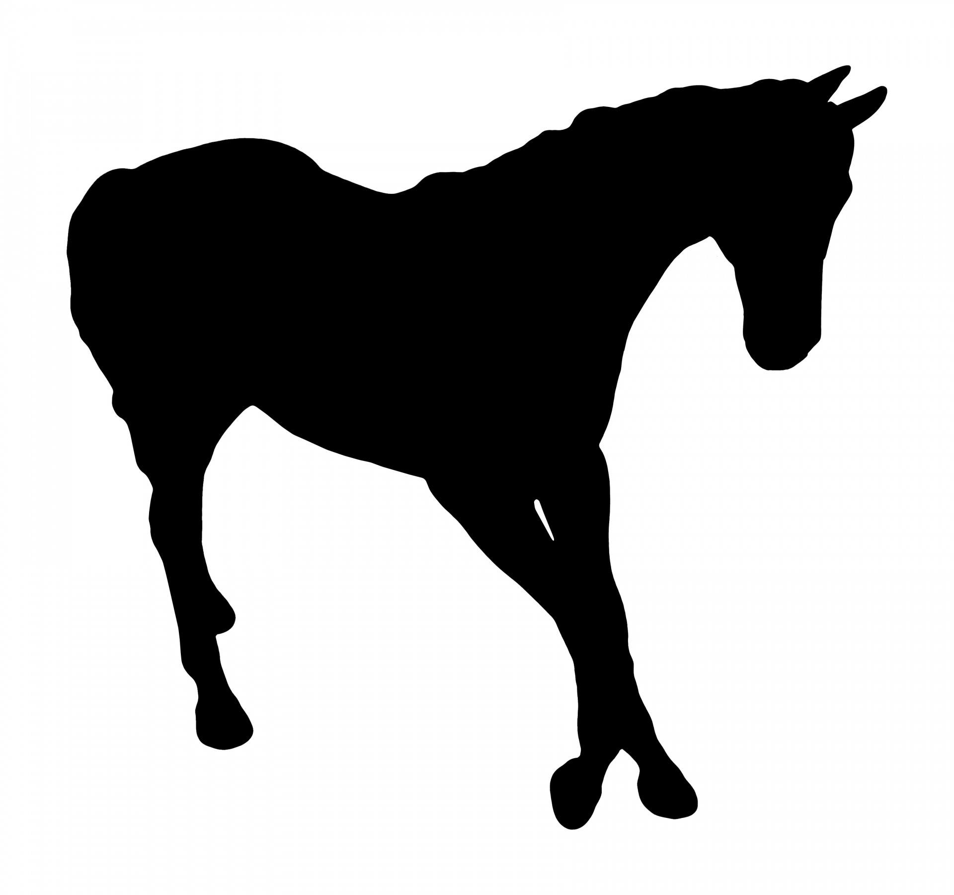 horse walking horse horse silhouette free photo
