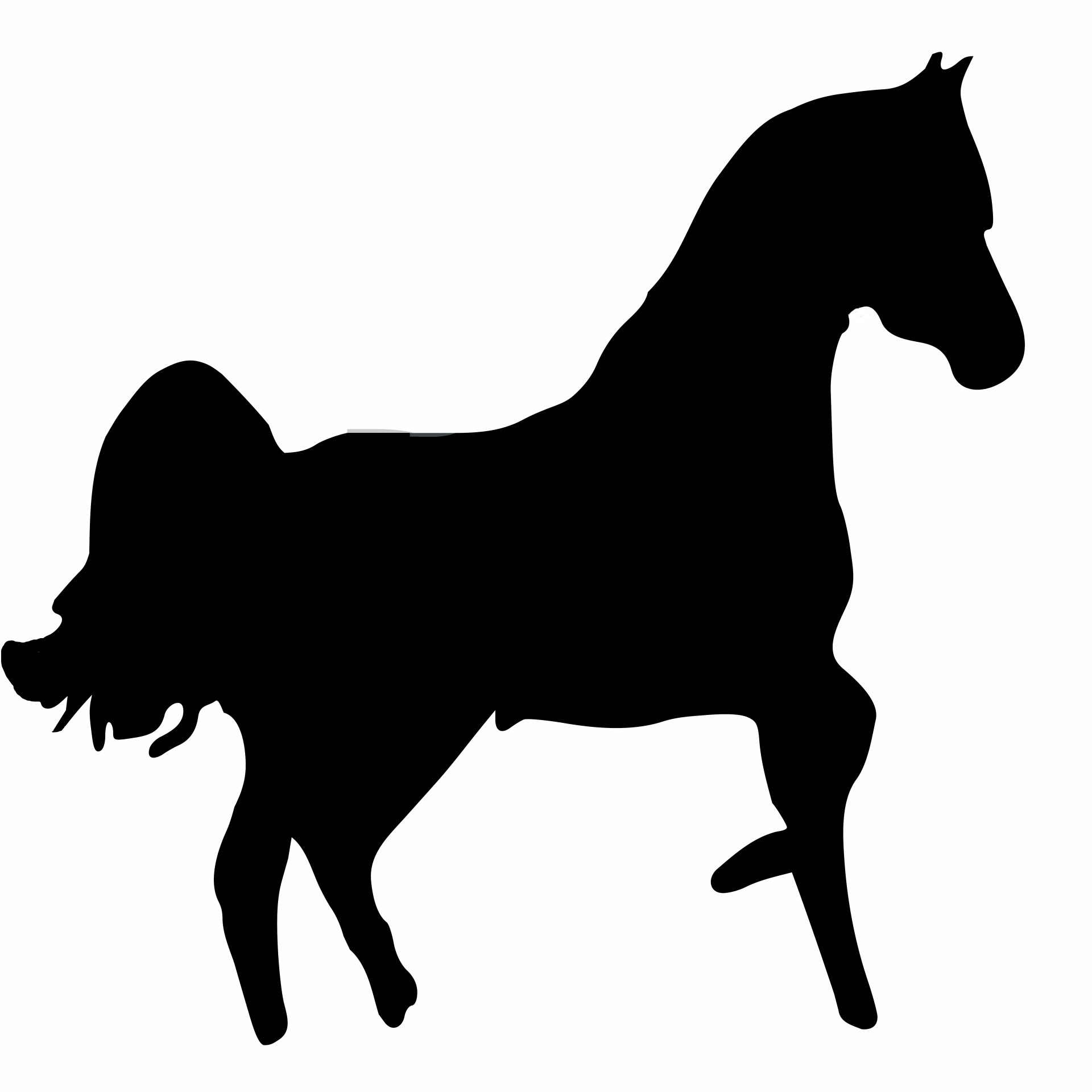mustang black stallion free photo