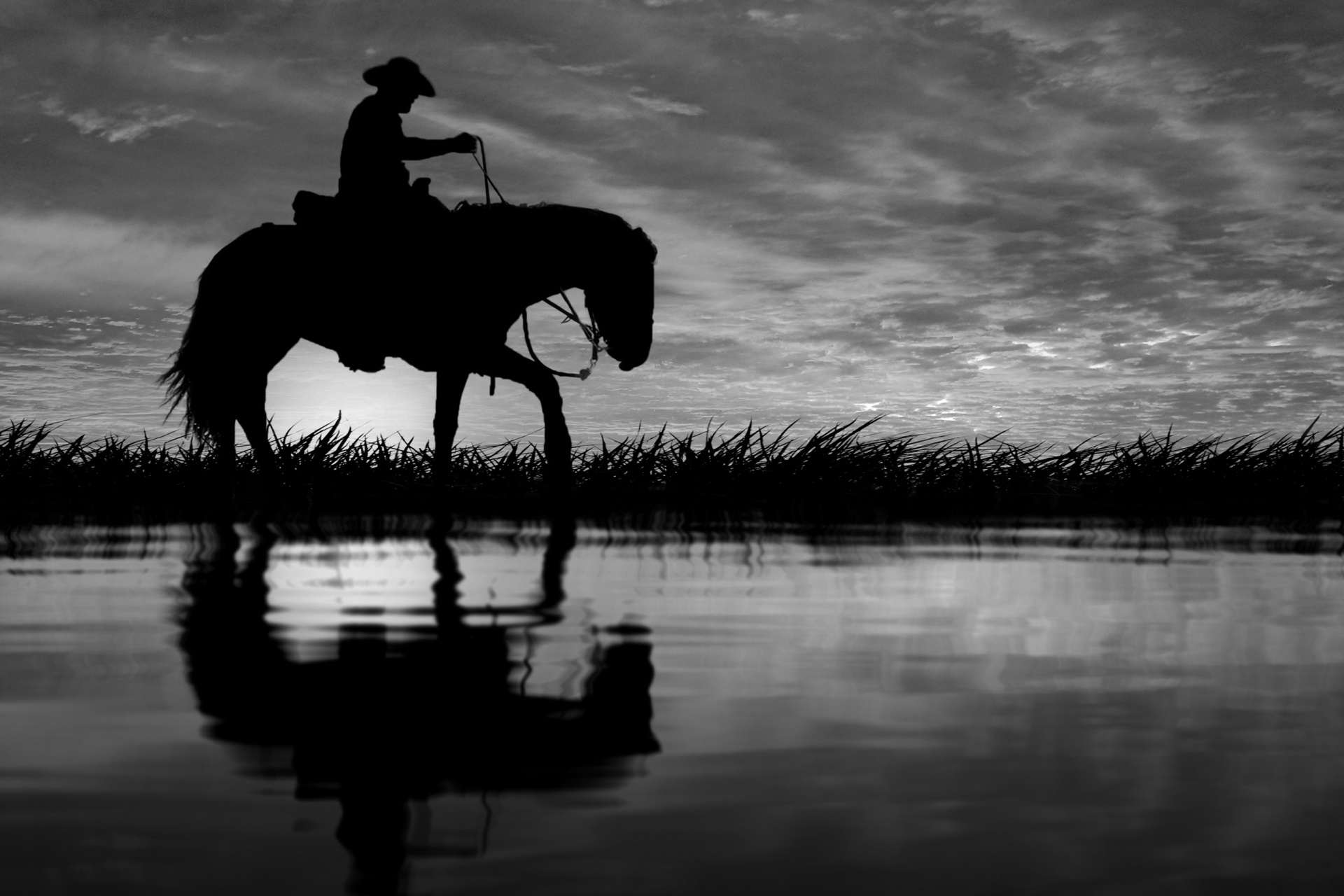 horse silhouette cowboy free photo