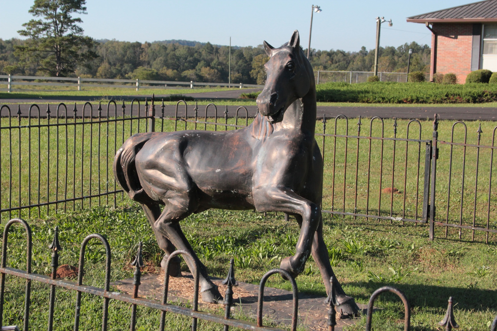 horse statue horse statue free photo