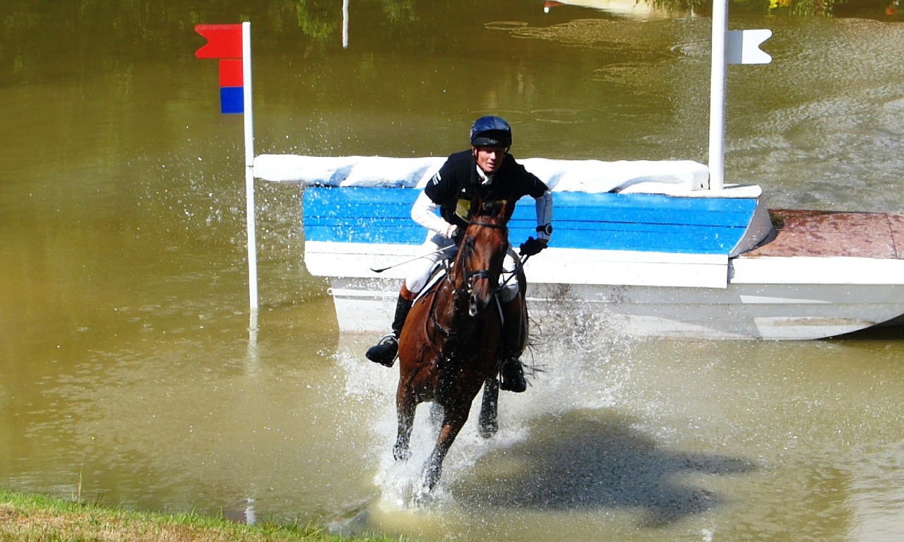 horse trials eventing equestrian free photo