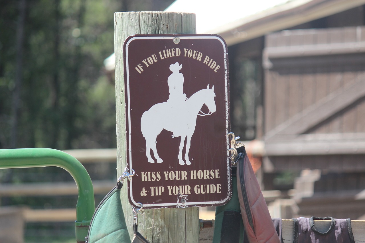 horseback yellowstone cowboy free photo