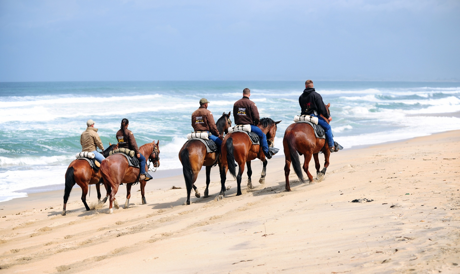 horse beach rider free photo