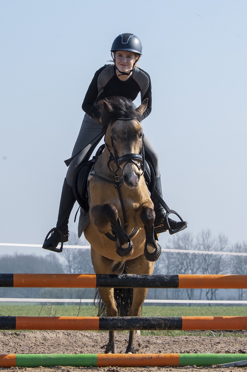horseback riding  horse  equestrian free photo