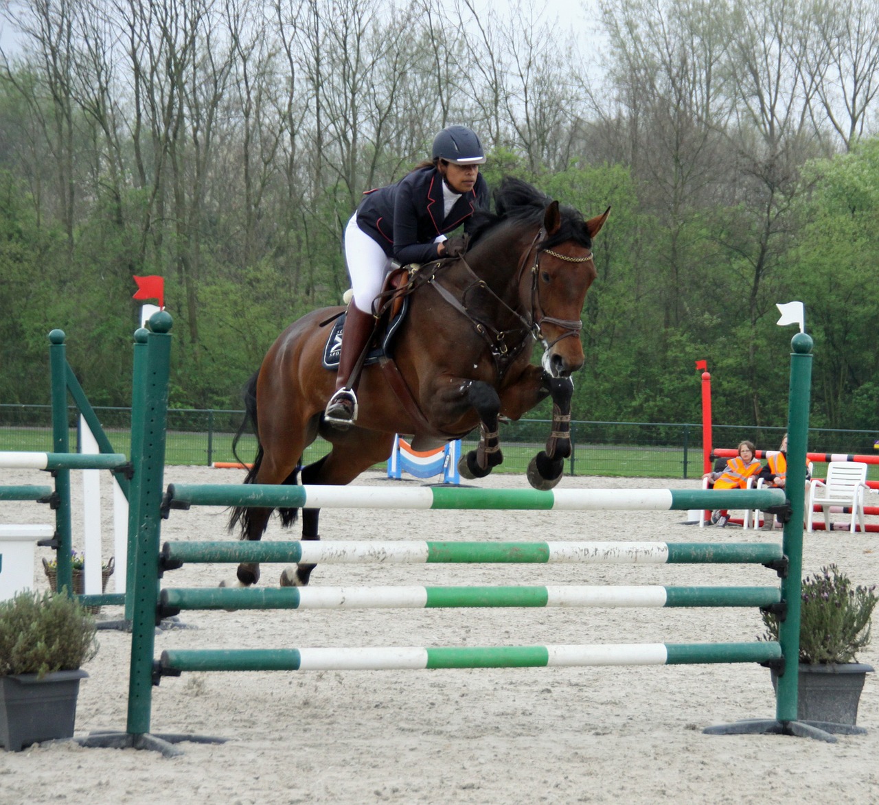 horseback riding  jump  obstacle free photo