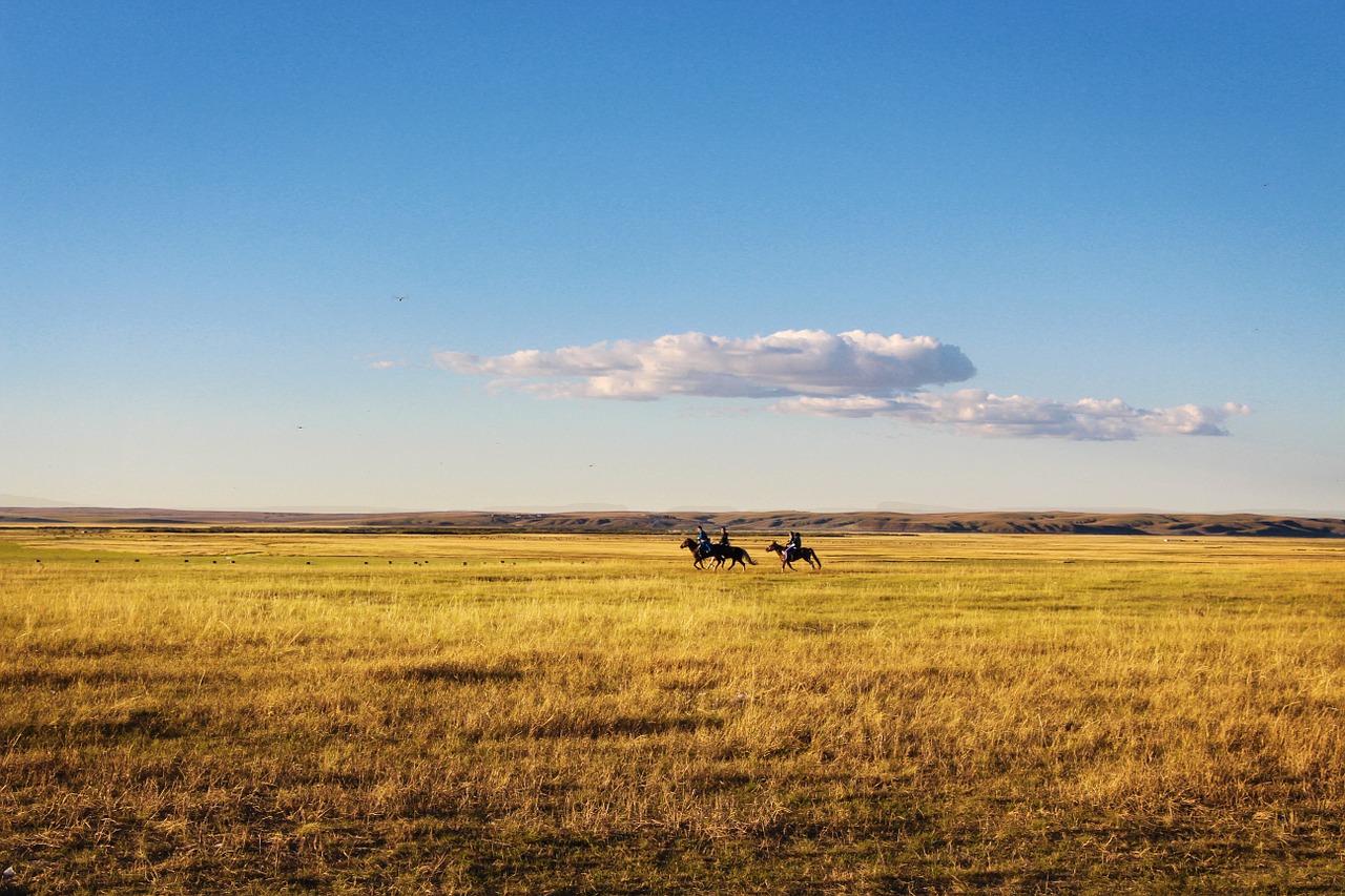 horseback riding prairie the vast free photo