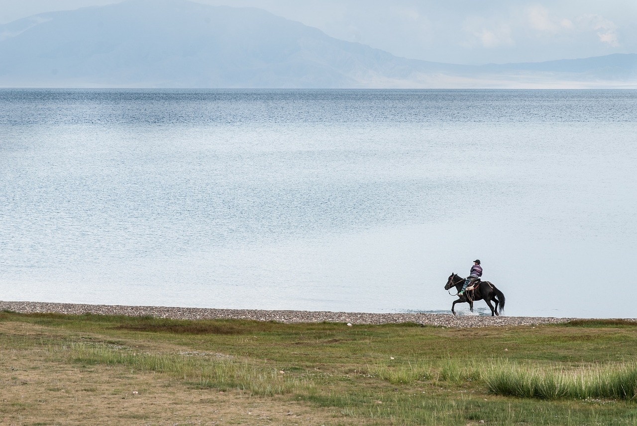 horseback riding lake water free photo