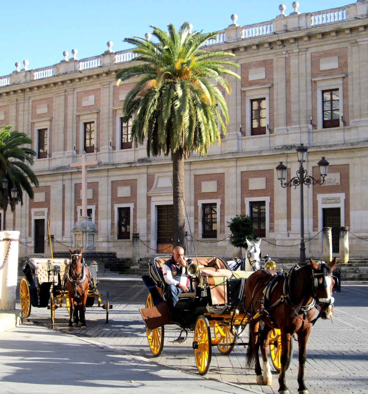 horses sevilla tourism free photo