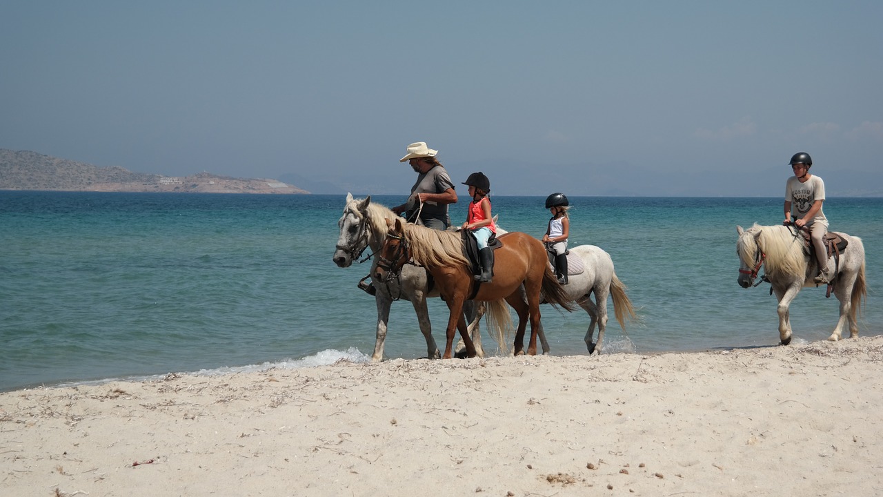 horses people beach free photo