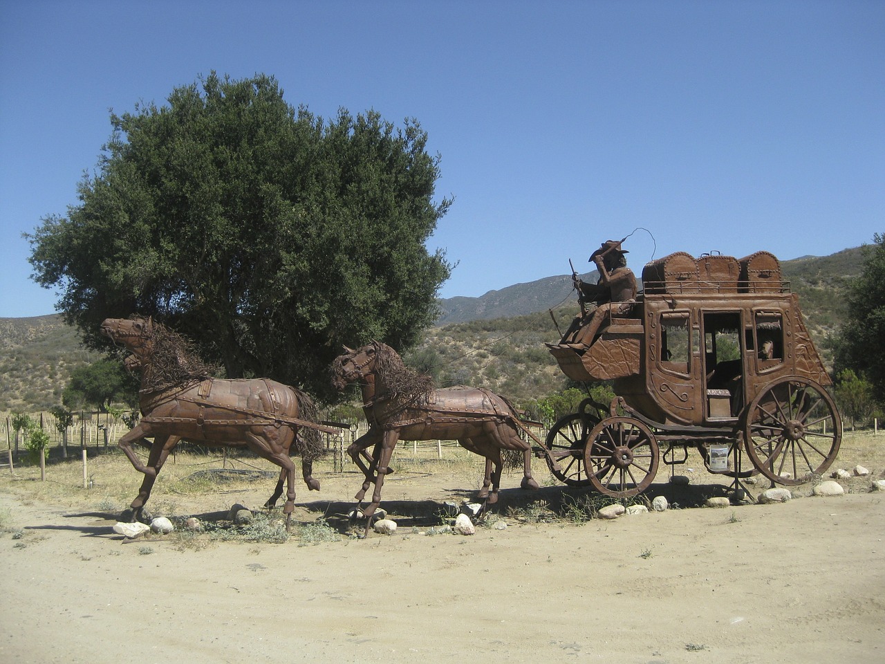 horses rider wagon free photo