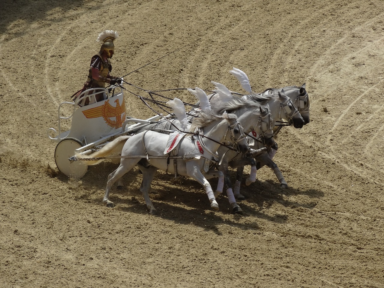 horses roman arena free photo