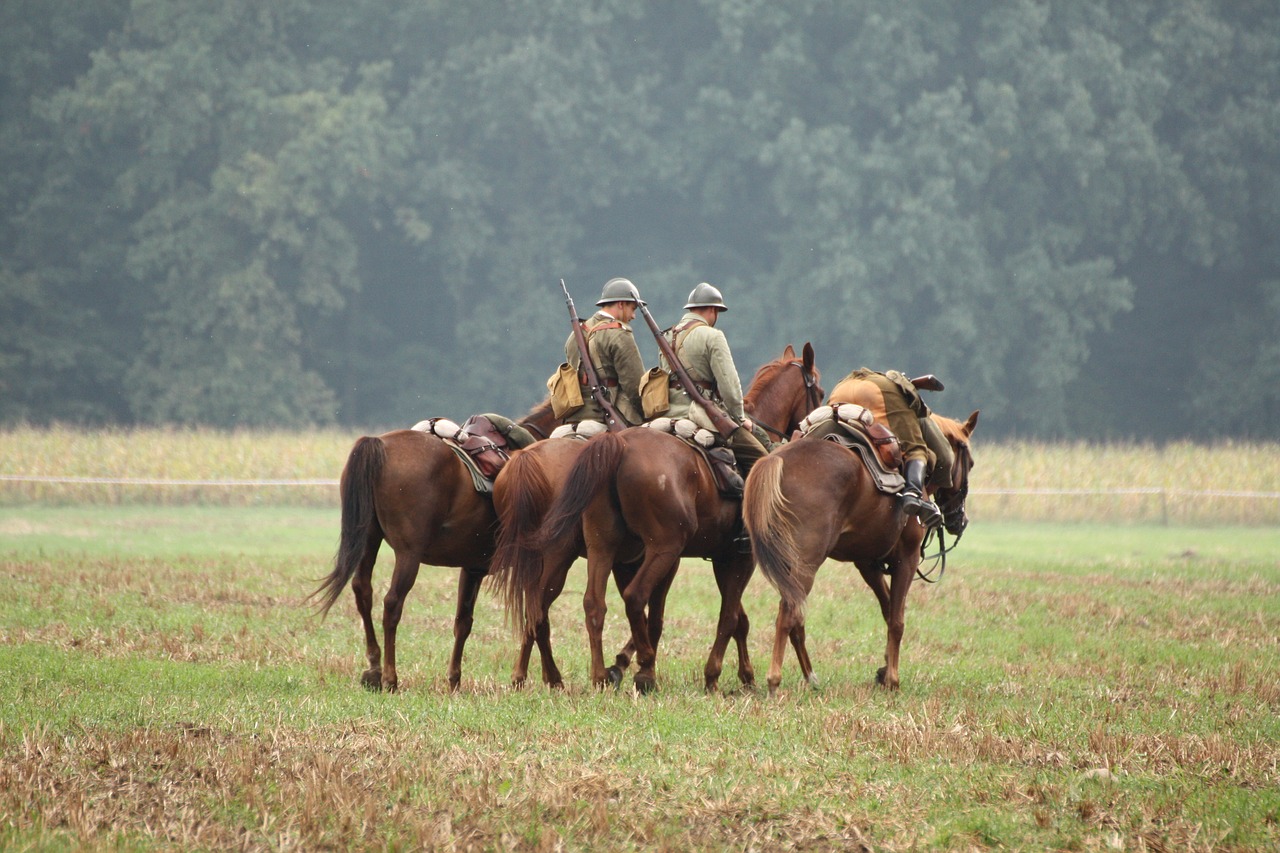 horses battle of the military free photo