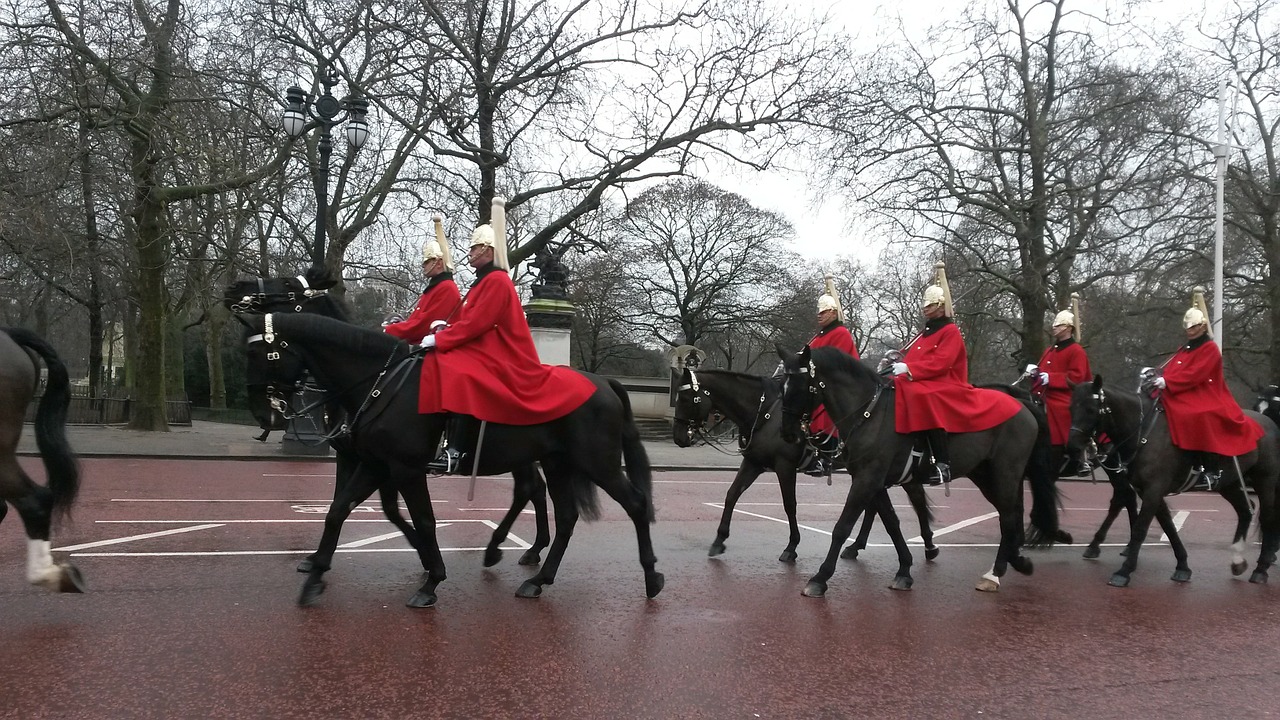 horses guard military free photo
