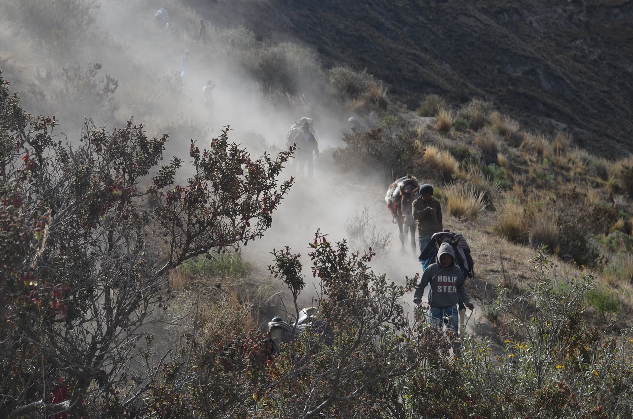 horses quilotoa afternoon free photo