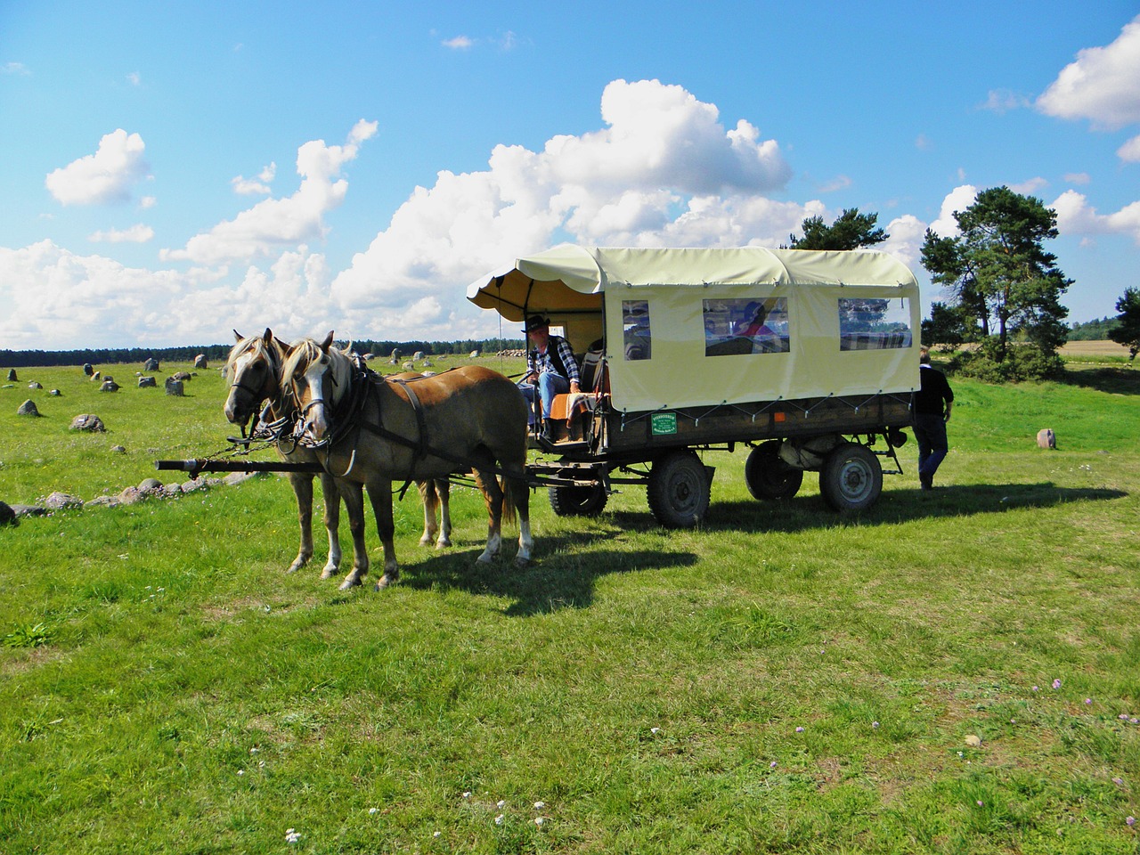 horses team wagon free photo