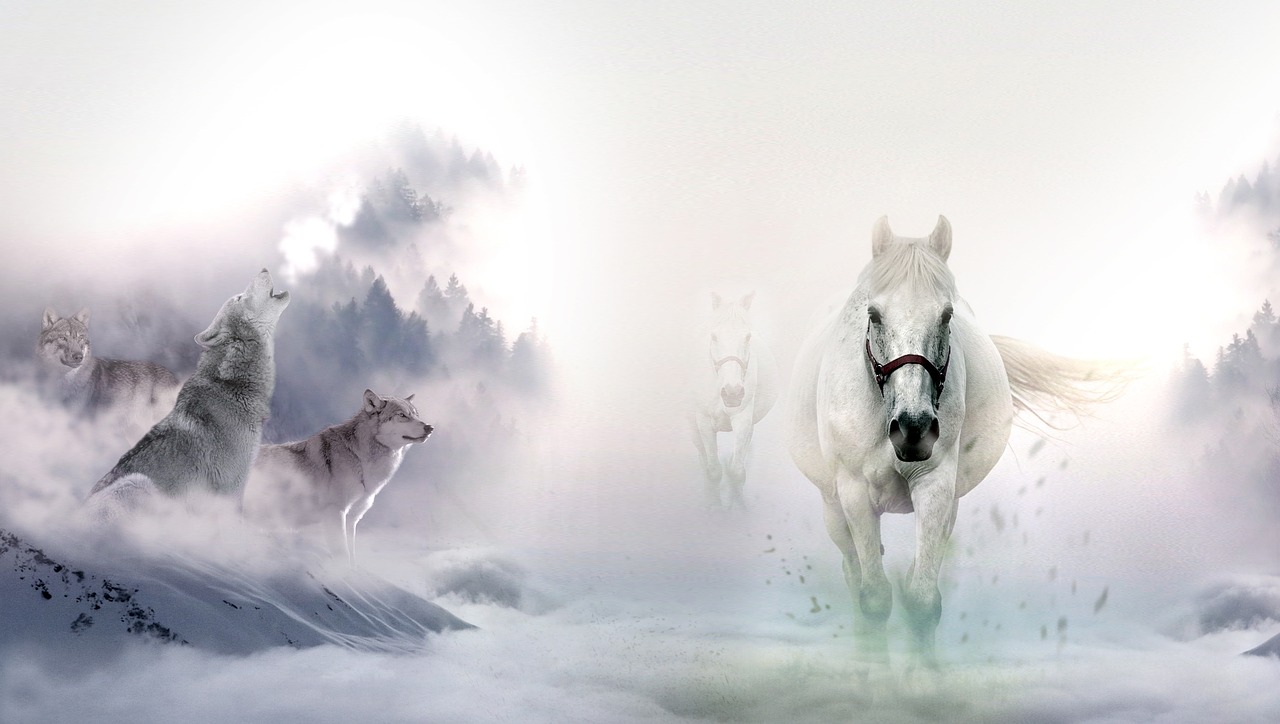 horses wolves wild free photo