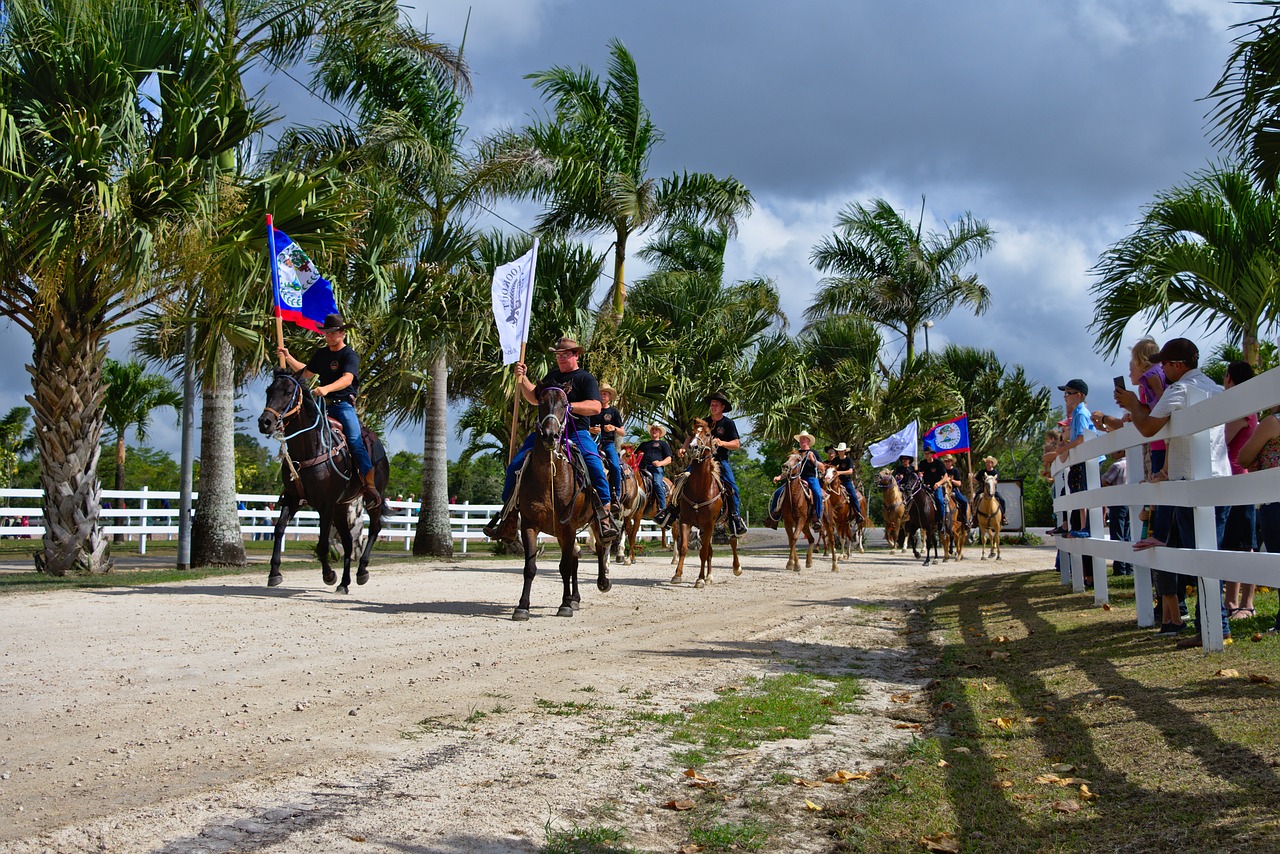 horses people parade free photo