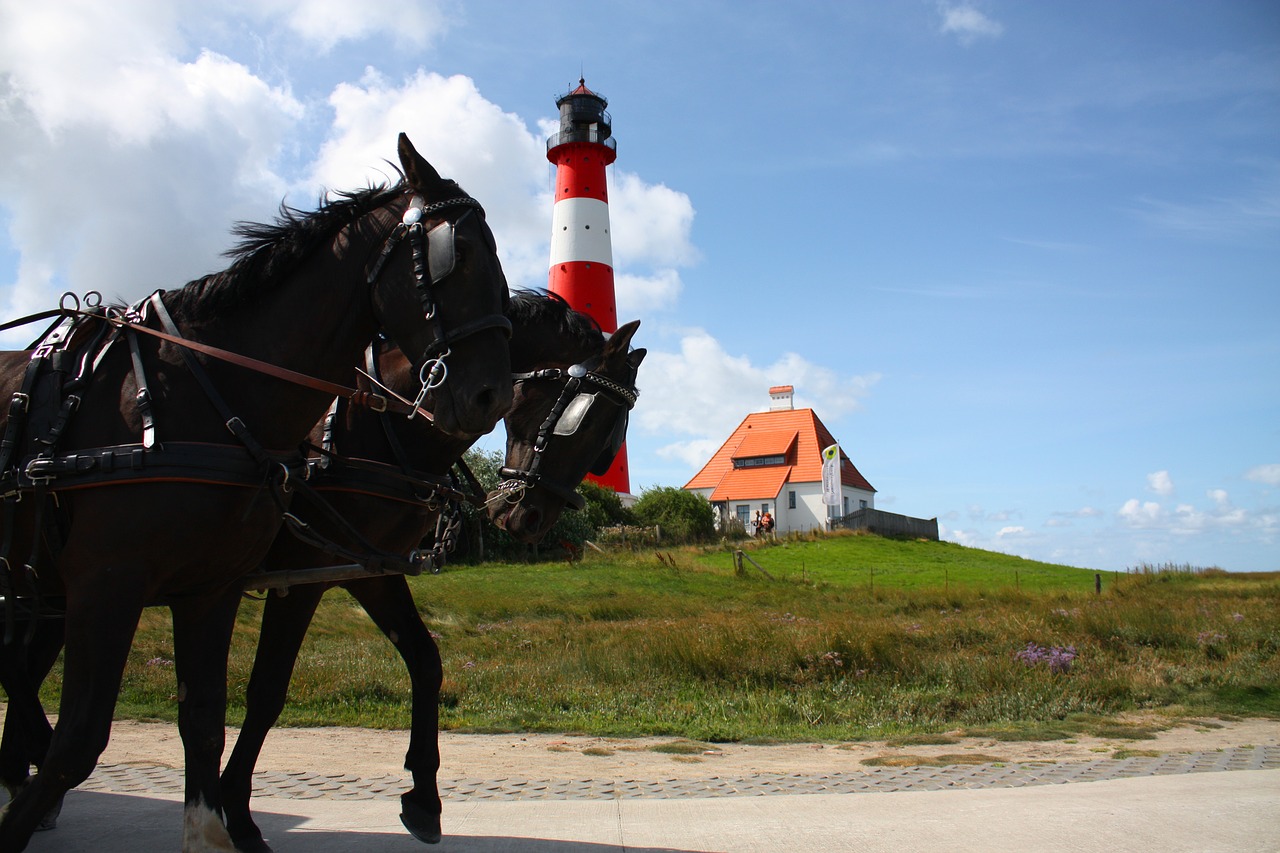 horses  lighthouse westerhever  mecklenburg free photo