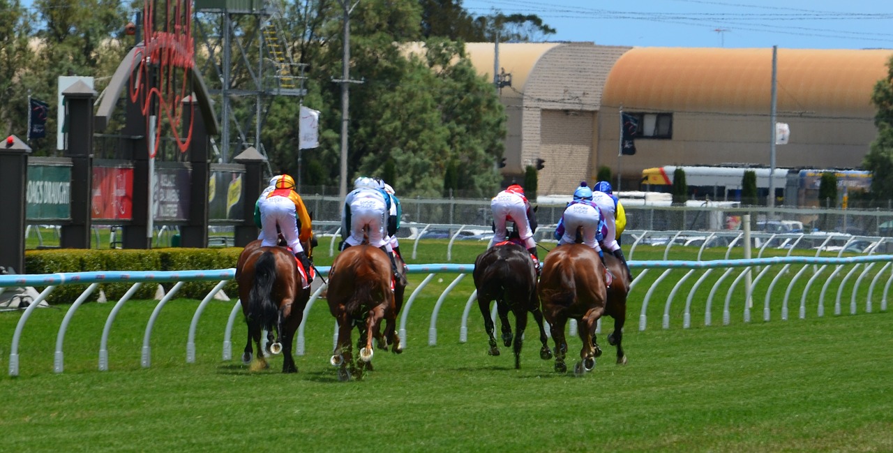 horses racing jockey free photo