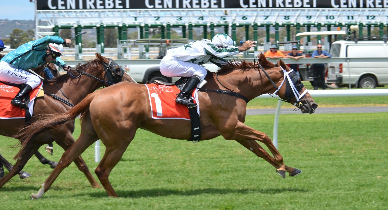 horses racing jockey free photo