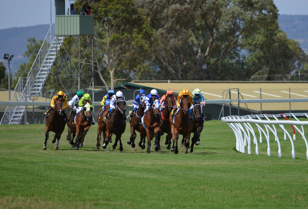 horses racing jockey free photo